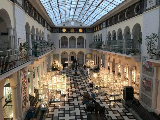 Muzeum Geologiczne Państwowego Instytutu Geologicznego w Warszawie